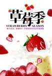 草莓 海报