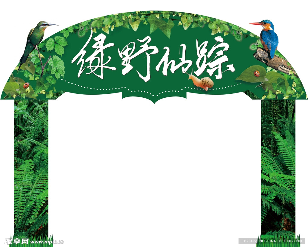 绿野仙踪