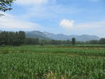太室山东侧夏景