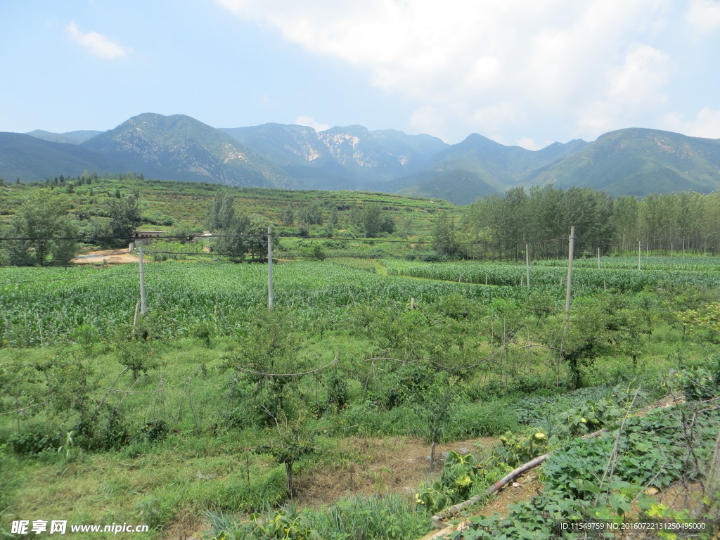 太室山东侧夏季风光