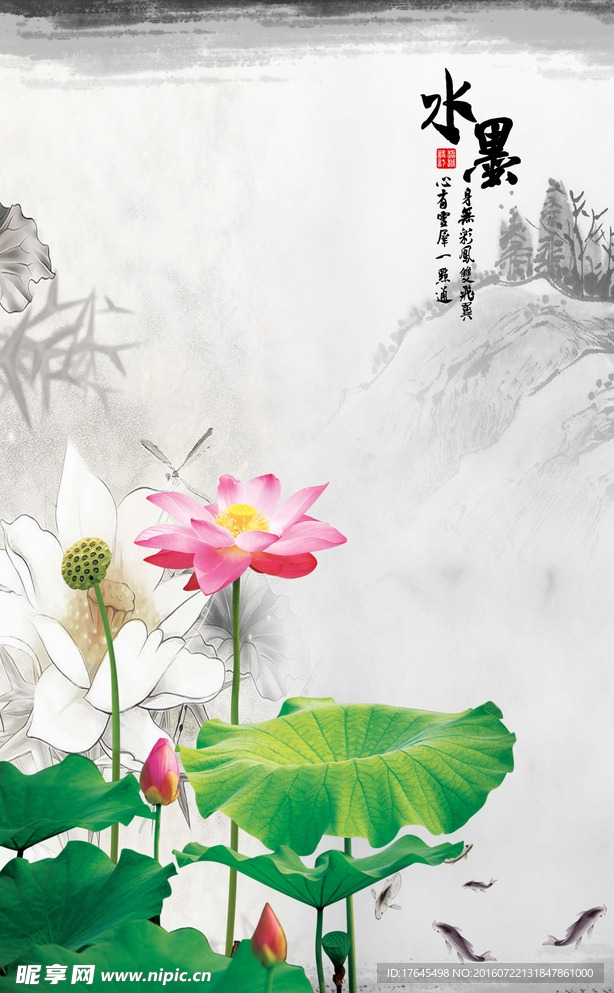 墨荷花风景