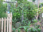 热带植物园