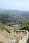 龙胜梯田