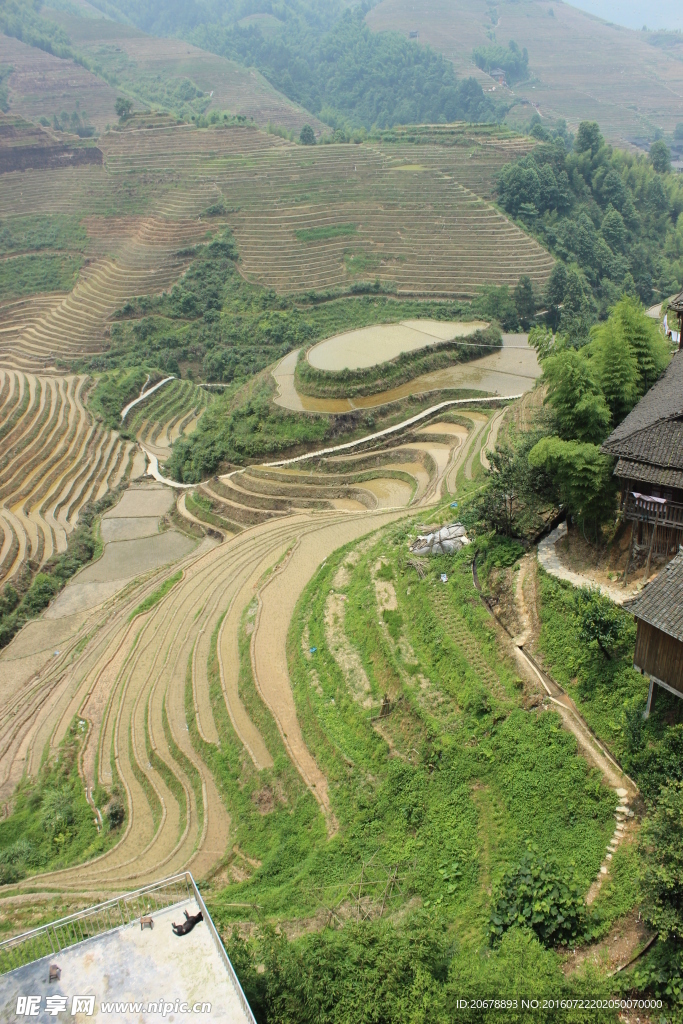 龙脊梯田