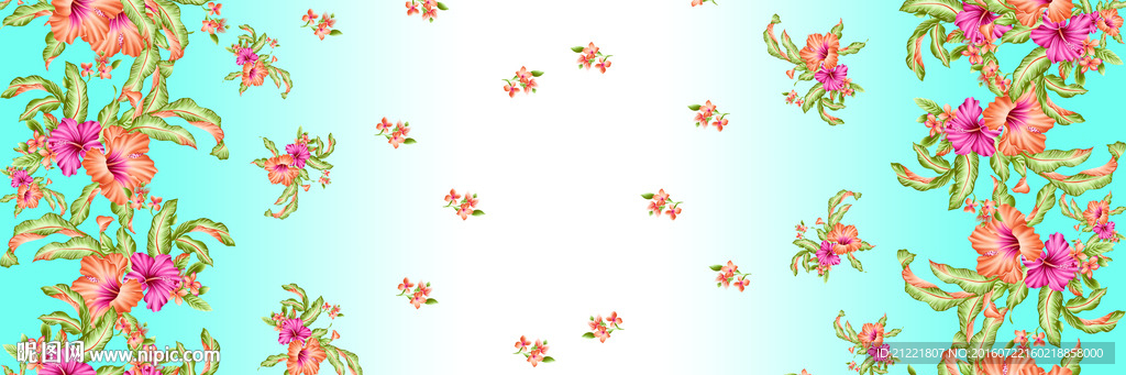 清晰花   一朵花