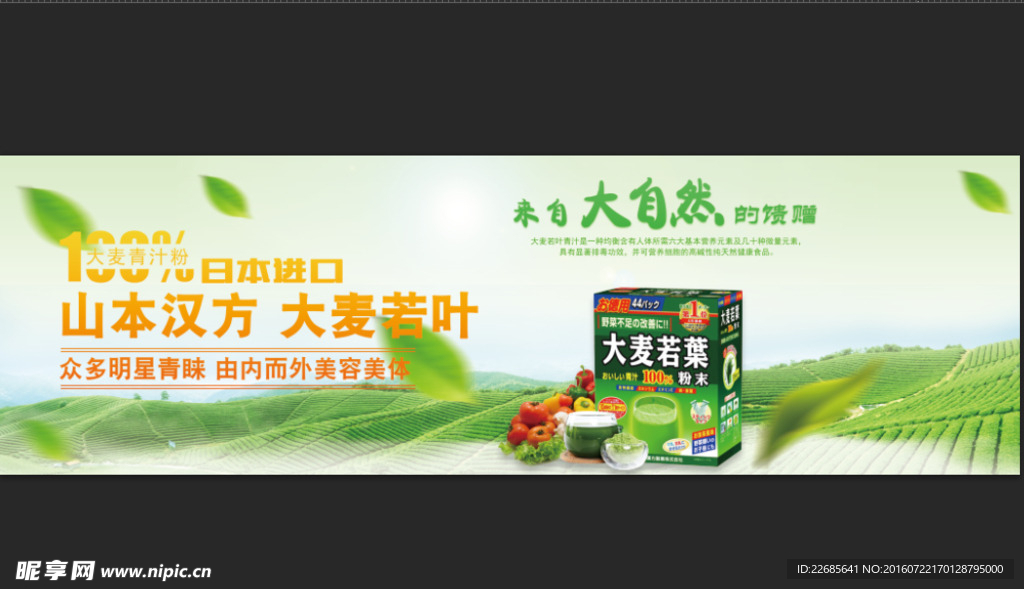 大麦若叶 茶叶海报banner