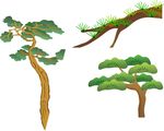 迎客松 矢量