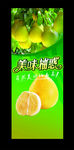 新鲜水果