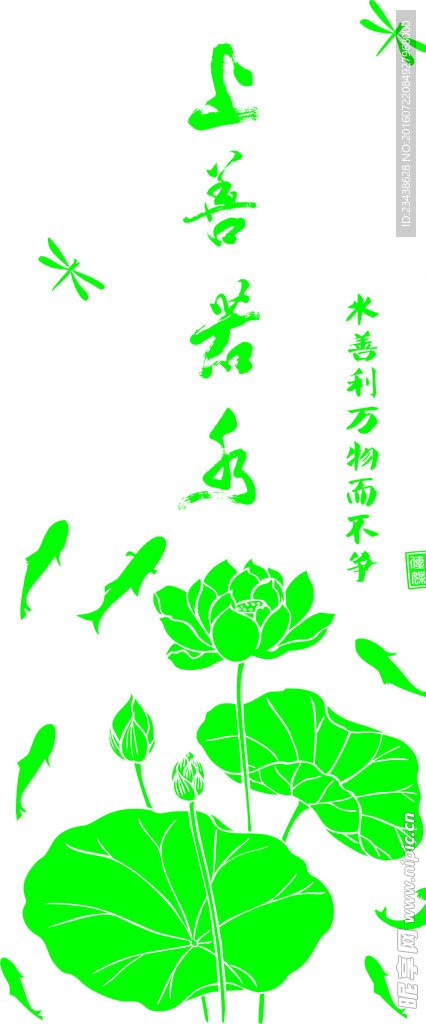 荷花