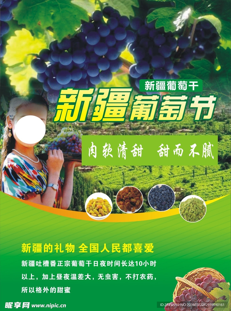 葡萄单页