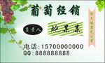 葡萄经销名片