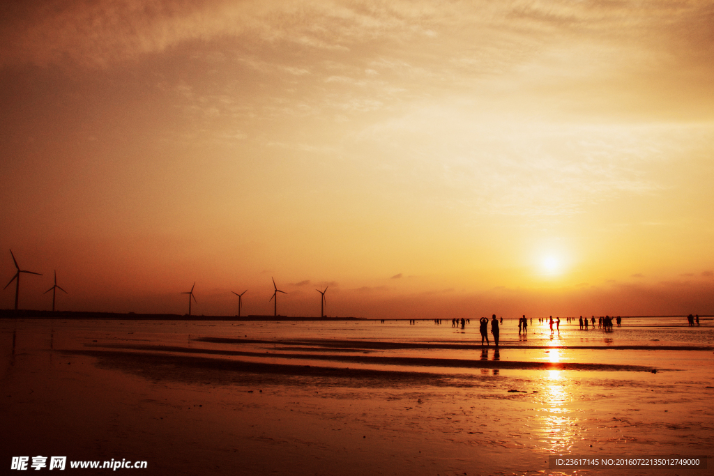 夕阳 湿地