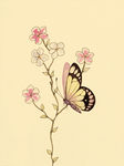 水彩花虫画