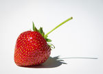 一颗诱人的草莓