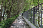 小路