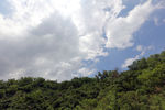翠绿山头