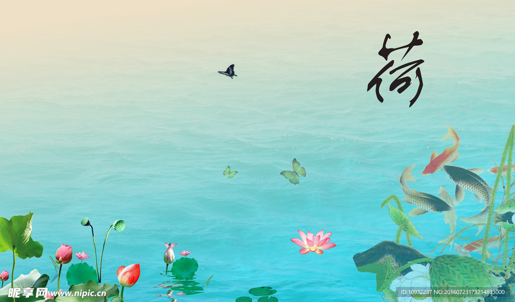 荷花