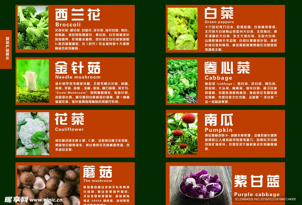 蔬菜介绍