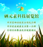 硒