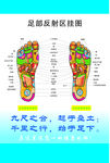 足部反射区域图