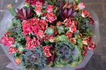 鲜花