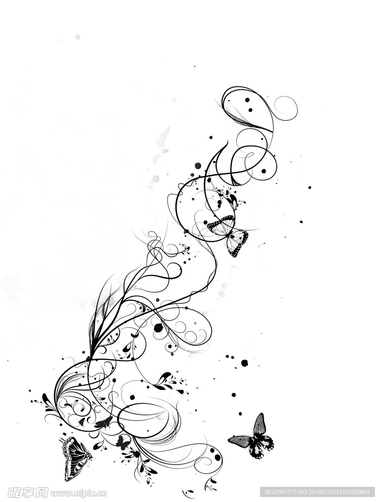 黑白蝴蝶花纹