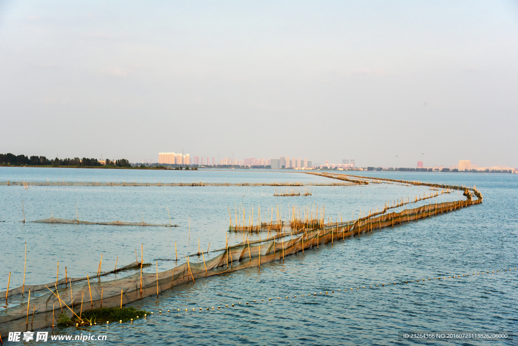 后湖风景