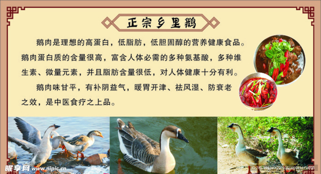 土鹅简介