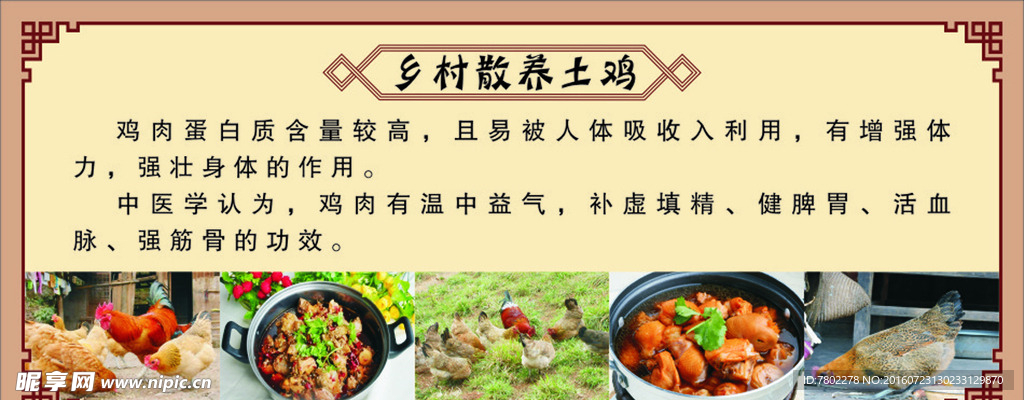 土鸡简介