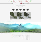 狗牯脑茶叶首页