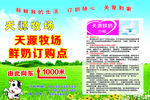 鲜奶广告 鲜奶订购
