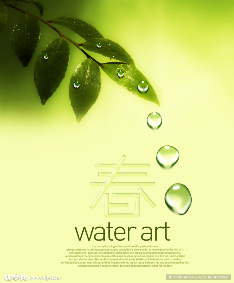 春天树叶水滴
