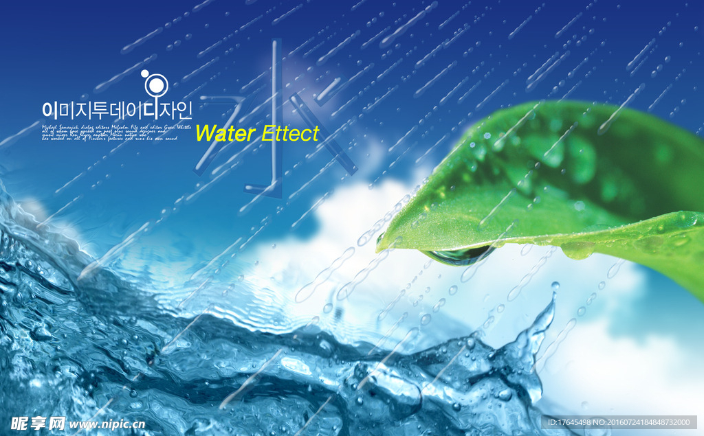 雨水滋养绿色生命