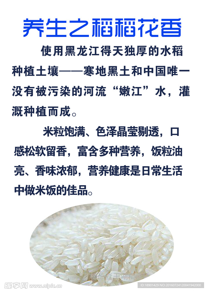 稻花香养生之道
