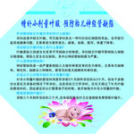 增补小剂量叶酸 预防胎儿神经