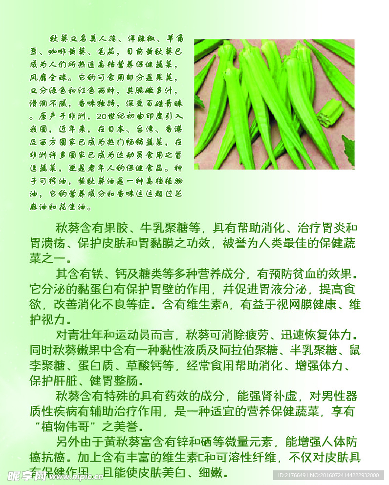 秋葵
