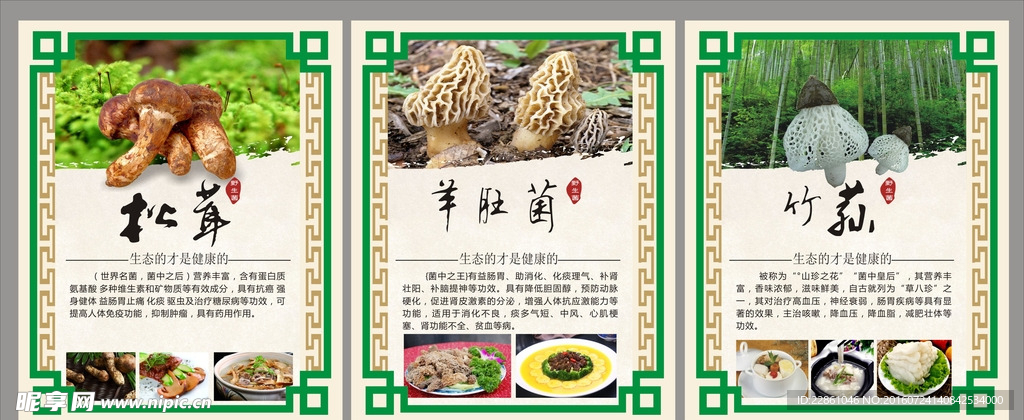野生菌