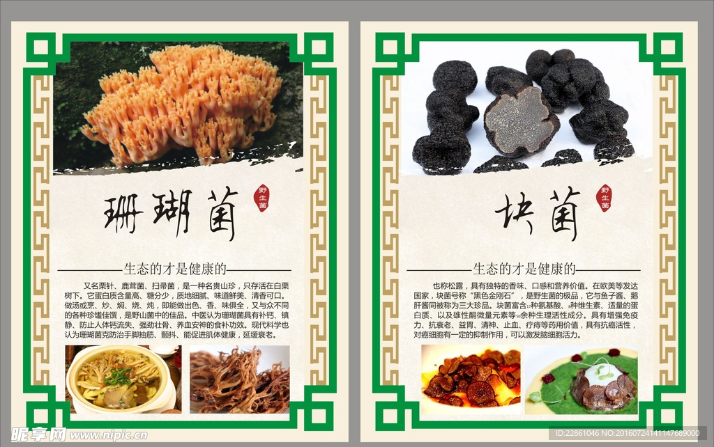 野生菌