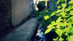 深圳福永桥头村