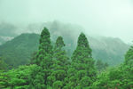 黄山