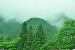 黄山