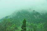 黄山