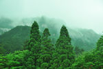 黄山