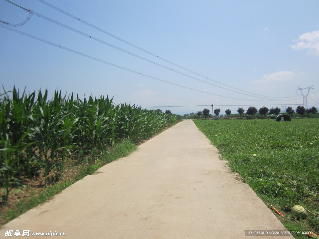 秦岭山下乡村道路