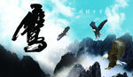 鹰击长空