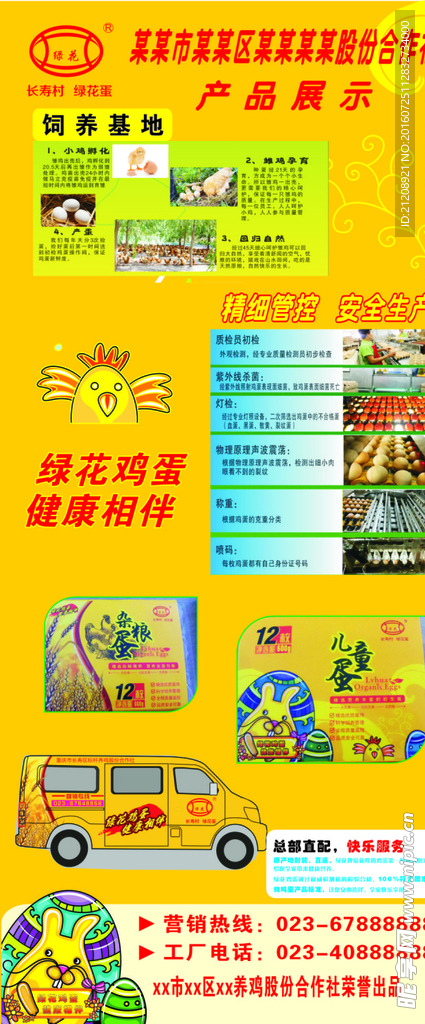 绿花鸡蛋x展架
