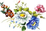 卡通花