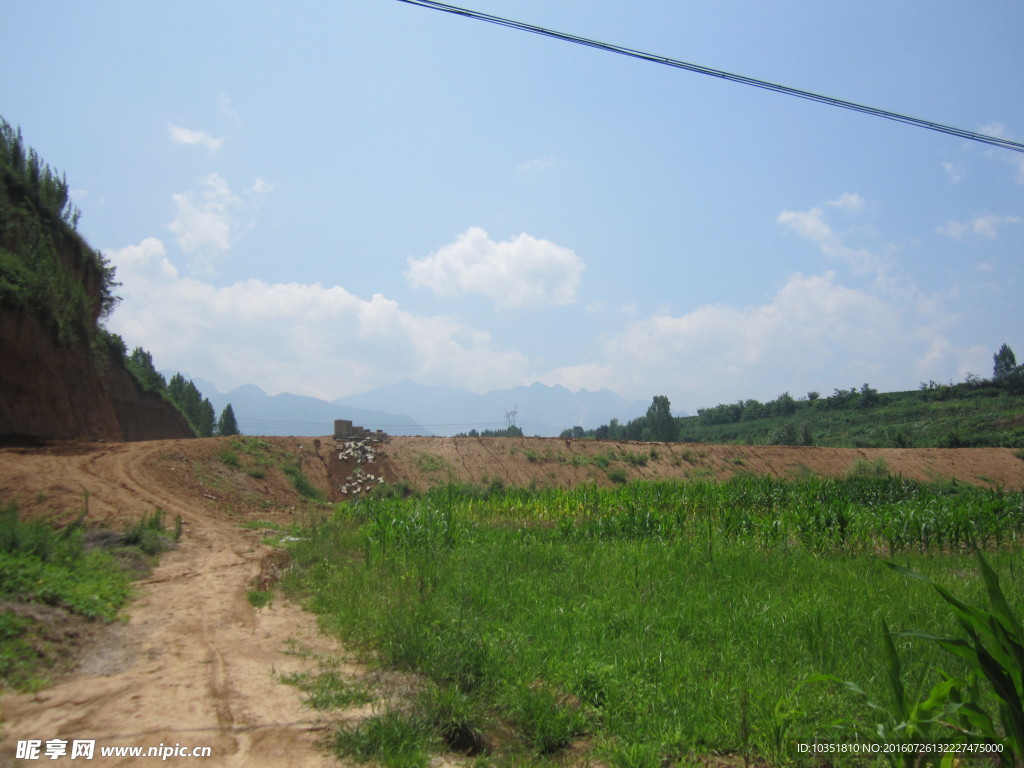 田间小路