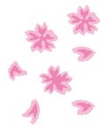 粉色花瓣