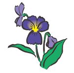 喇叭花